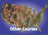 Other Courses